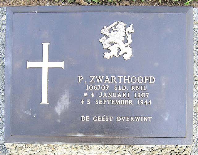 zwarthoofd.p.2007.jpg