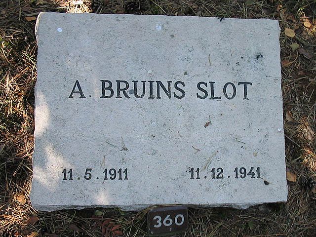 A.Bruins Slot.jpg