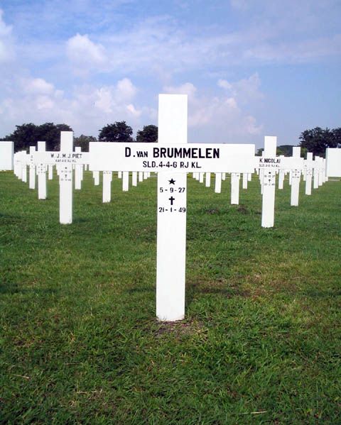 brummelen.van.d.2005.jpg