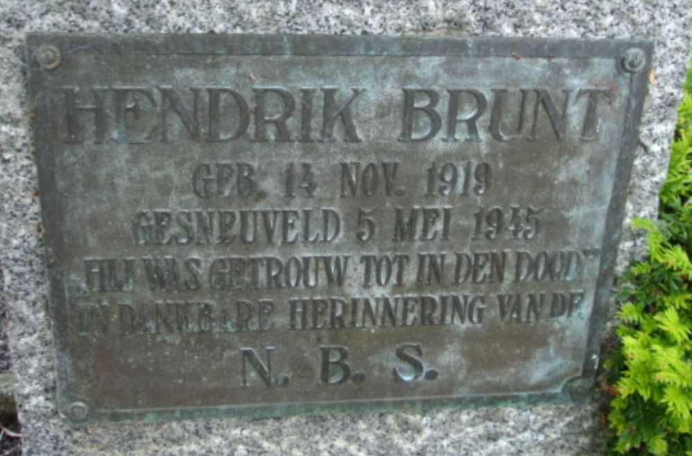 brunt.h.2009.jpg