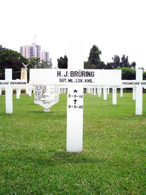 bruring.h.j.2005.jpg