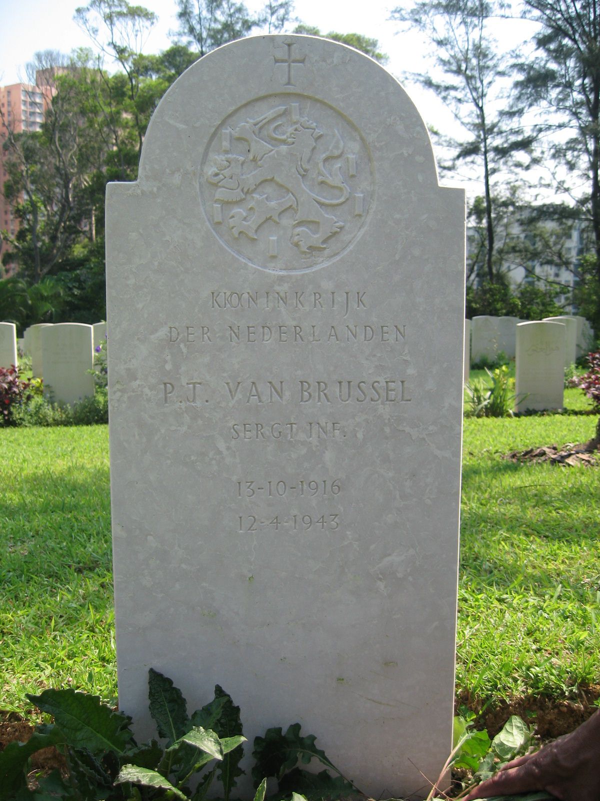 brussel.p.j.van.2008.jpg