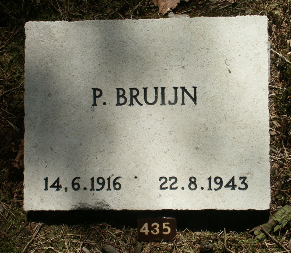 bruijn.p.jpg