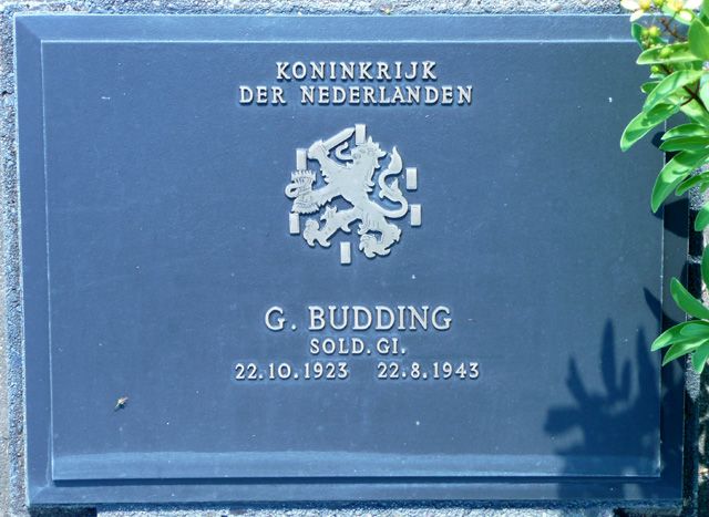 Budding.G.2008.jpg