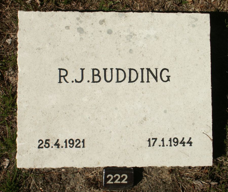 budding.r.j.jpg