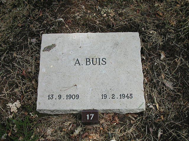 A.Buis.jpg