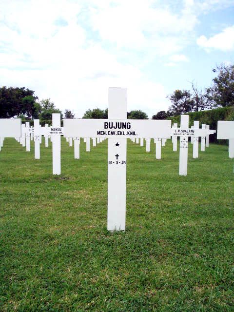bujung.2005.jpg