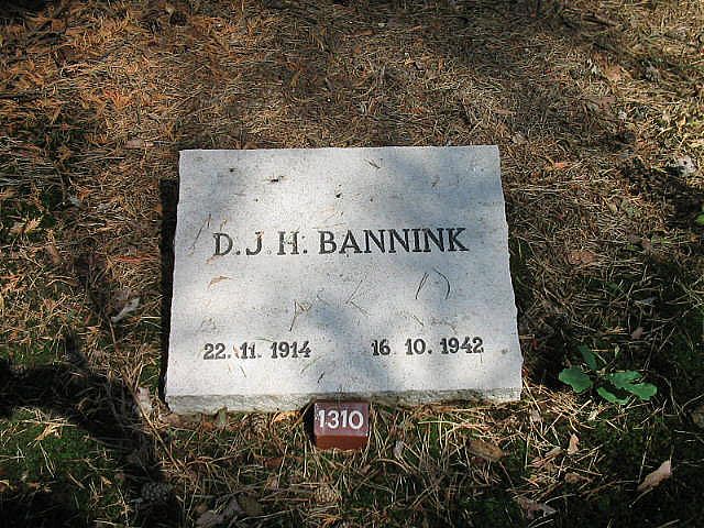 D.J.H.Bannink.jpg