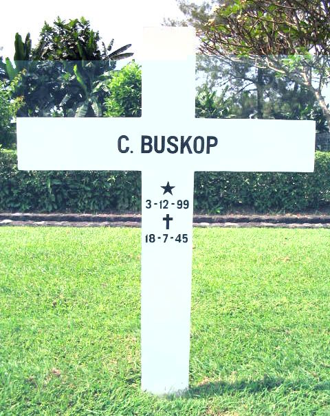 buskop c.2004.jpg