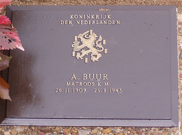 buur.a.2006.jpg