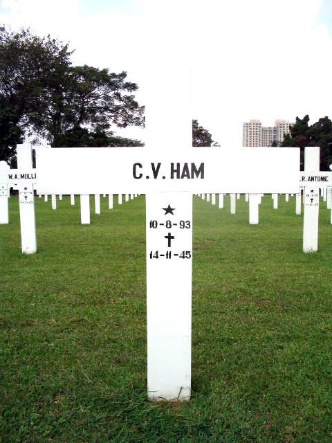 ham.c.v.2005.jpg