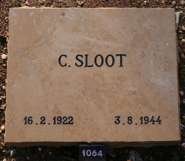 sloot.c.2008.jpg