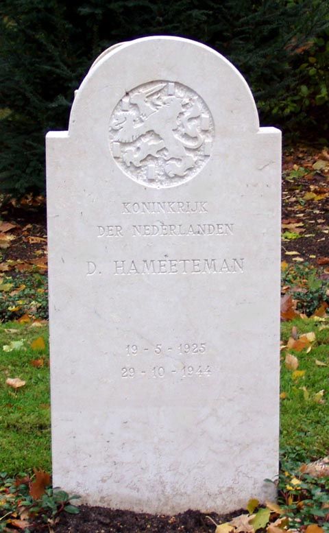 Hameeteman D.jpg
