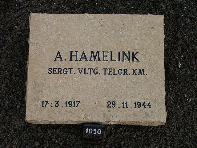 hamelink.a.2008.jpg