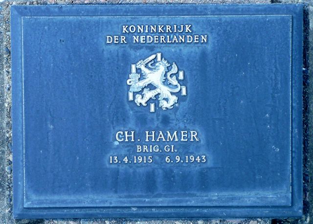 Hamer.C.2008.jpg