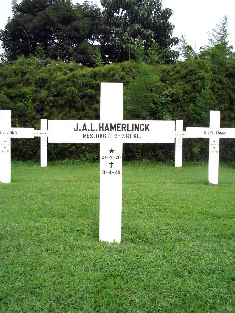 hamerlinck.j.a.l.2005.jpg