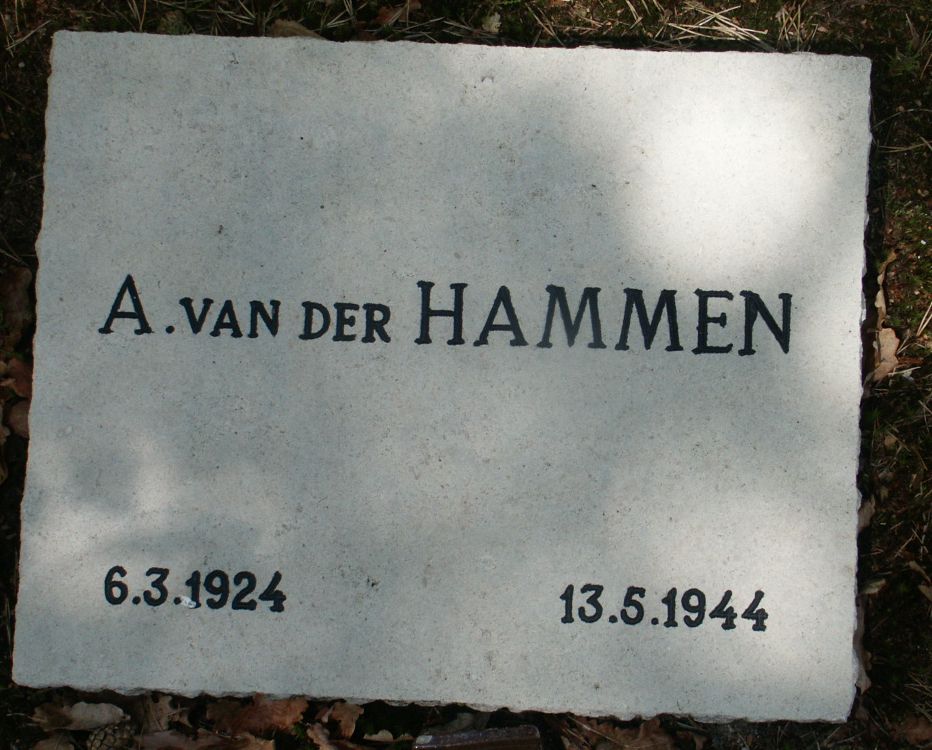 hammen.vander.a.jpg