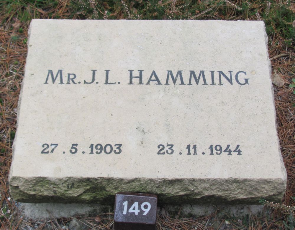 hamming.j.l..jpg
