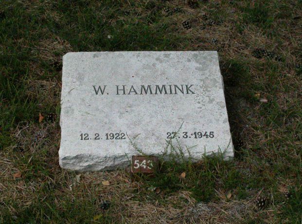 W.Hammink.jpg