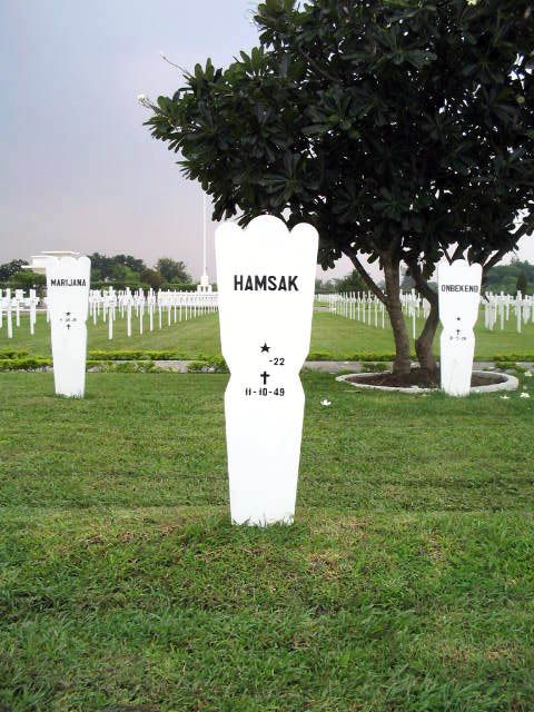 hamsak.2005.jpg