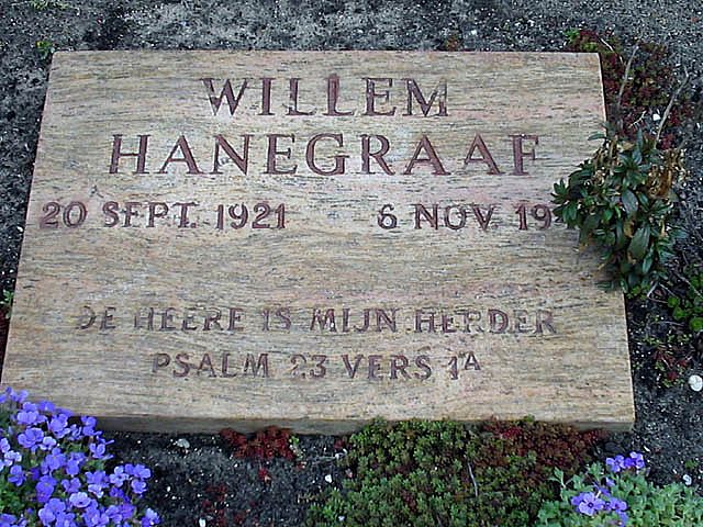 Hanegraaf W.jpg