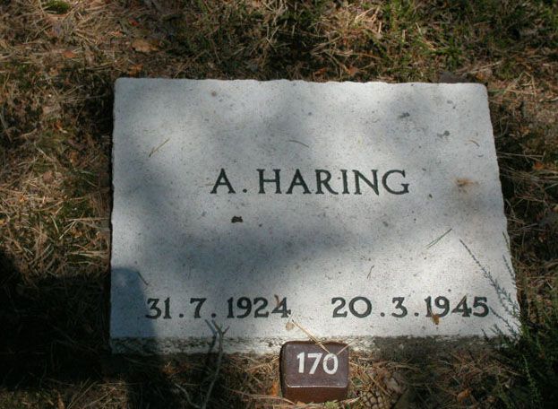 A.Haring.jpg