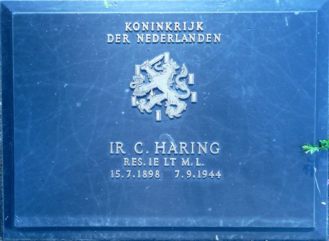 Haring.C.2008.jpg