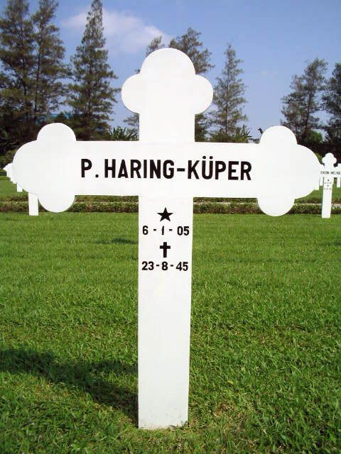 haring kuper p.2004.jpg