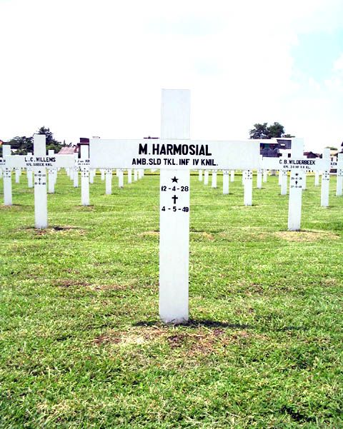 harmosial.m.2005.jpg