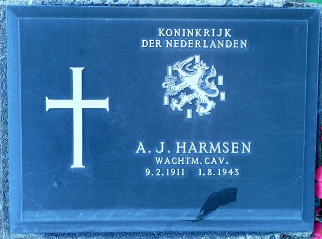 Harmsen.A.J.2008.jpg