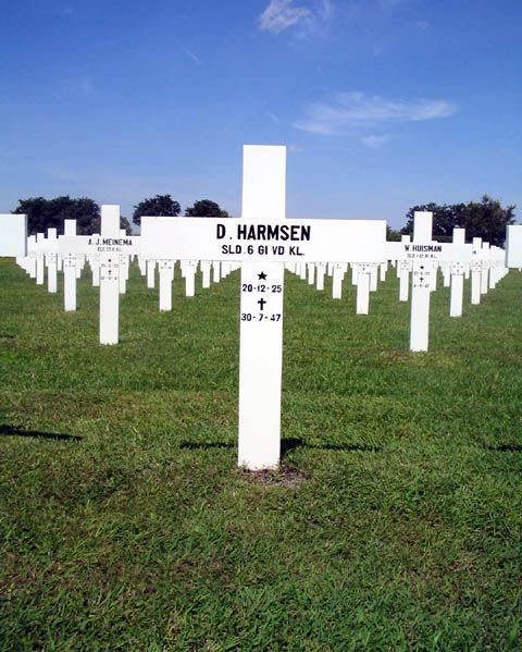harmsen.d.2005.jpg
