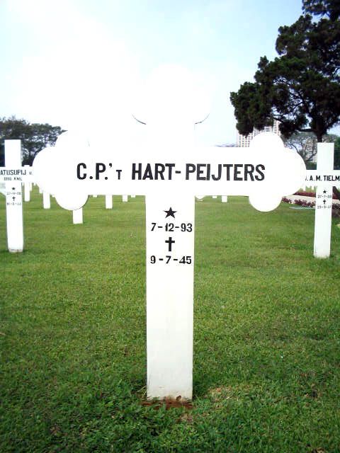 hart.t.peijters.c.p.2005.jpg