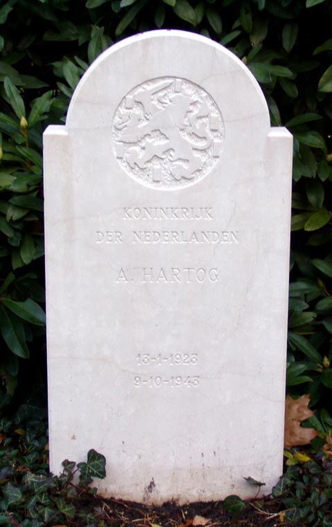 Hartog A.jpg