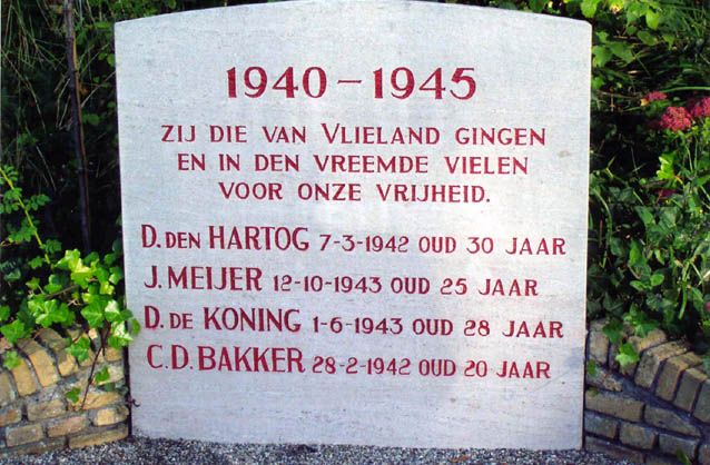 Kopie van vlieland.jpg