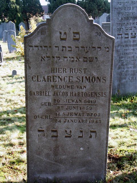 Hartogensis-Simons. C.2004.jpg