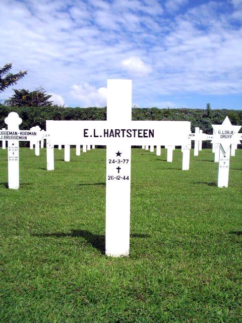 hartsteen.e.l.2005.jpg