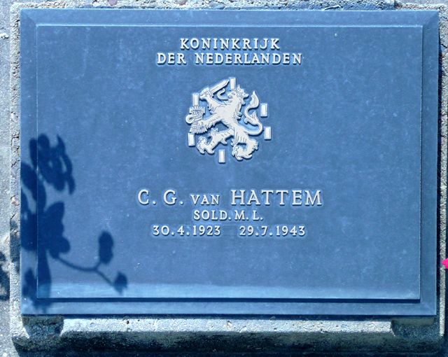 Hattem.C.G.van.2008.jpg