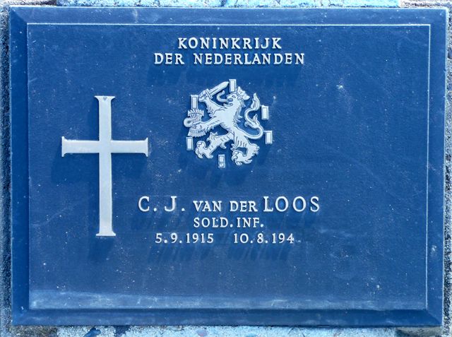 Loos.C.J.van.der.2008.jpg