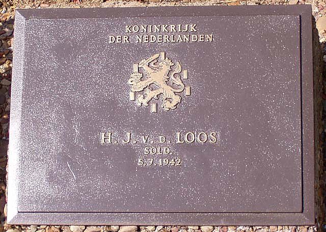loos.h.j.van.der.2006.jpg