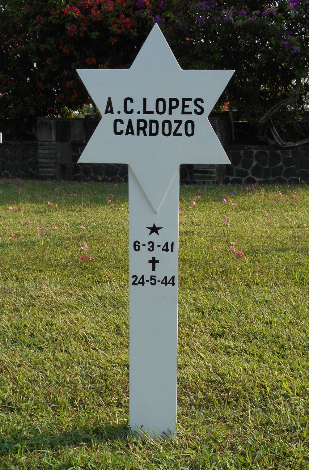 Lopes Cardozo,a.c..jpg