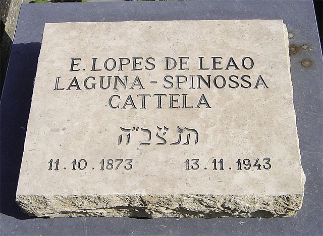 catella.jpg