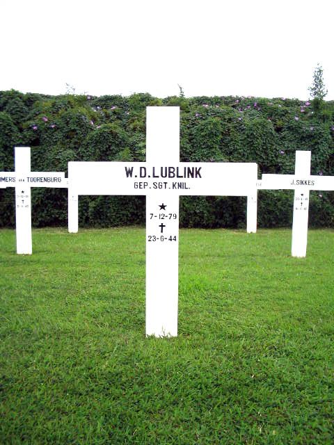 lublink.w.d.2005.jpg