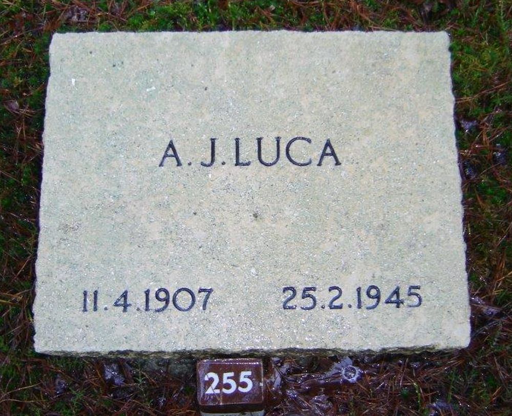 luca.a.j..jpg