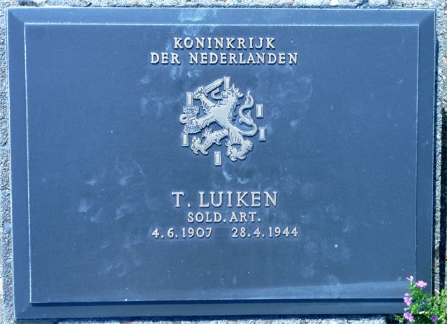 Luiken.T.2008.jpg