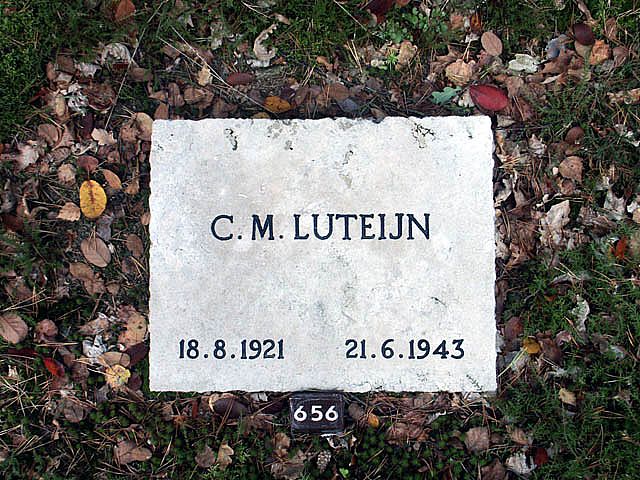 luteijn.c.m.2005.jpg