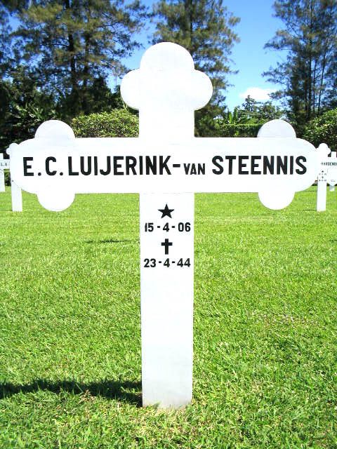 luijerink steennis van.e.c.2004.JPG
