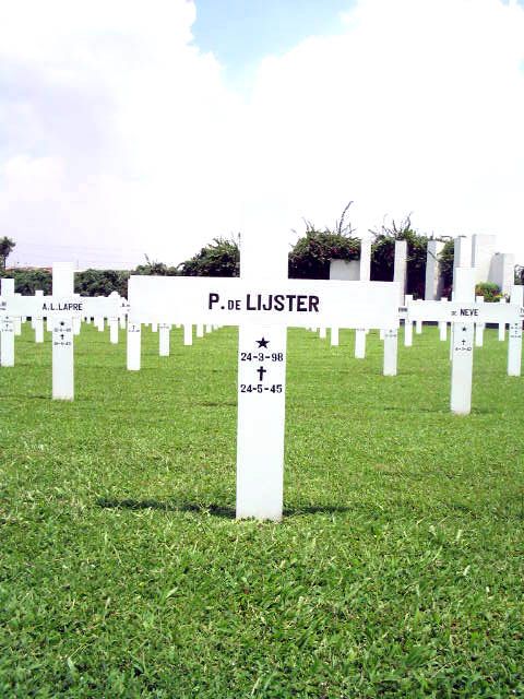 lijster.de.p.2005.jpg