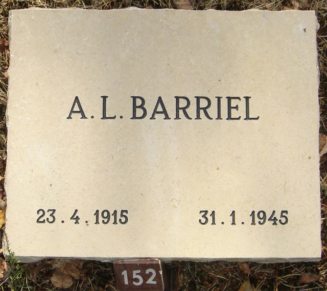 barriel.a.l.2008.jpg