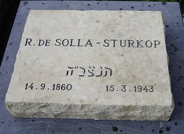 sturkop.jpg