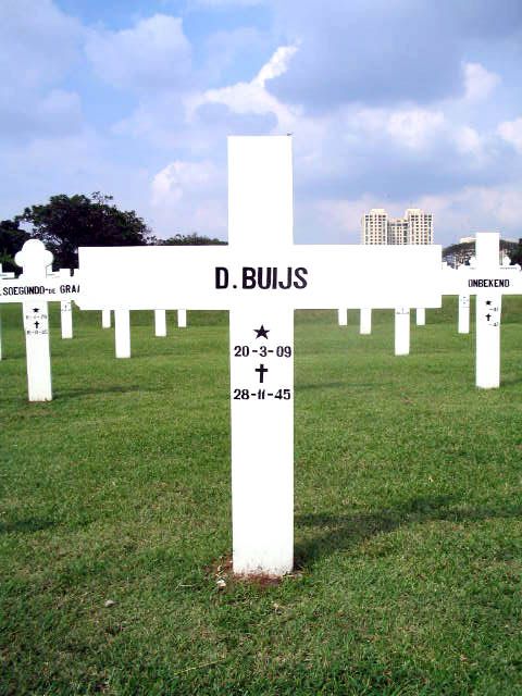 buijs.d.2005.jpg